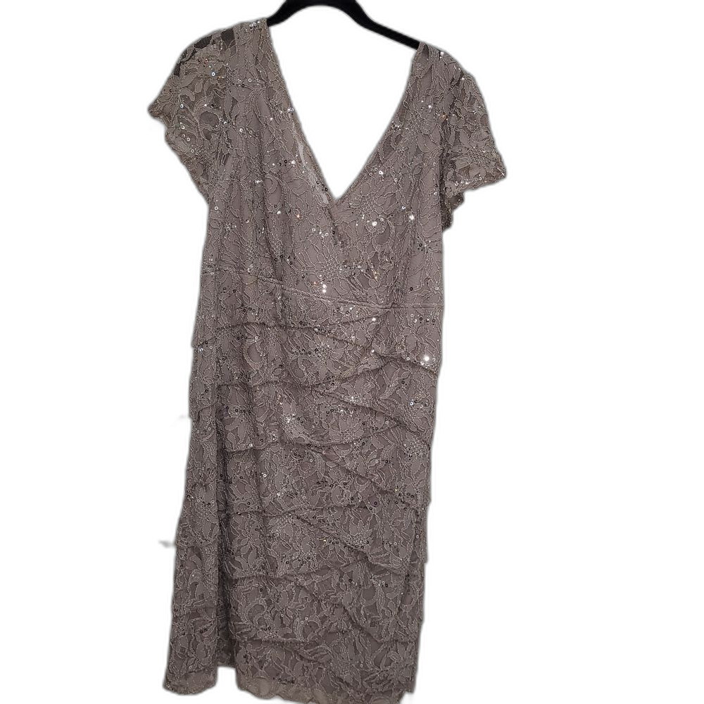 Elegant Lace Evening Dress